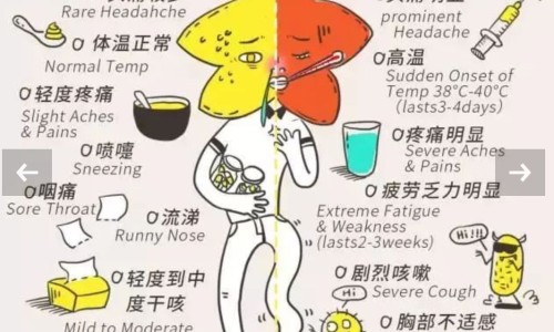囊肿癌变风险高吗-囊肿癌变叫什么症状网 - 网站提供囊肿癌变叫什么症状图片小常识、囊肿癌变的几率有多大