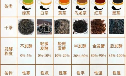 囊肿癌变叫什么症状呢-囊肿癌变叫什么症状网 - 网站提供囊肿癌变叫什么症状图片小常识、囊肿癌变的几率有多大